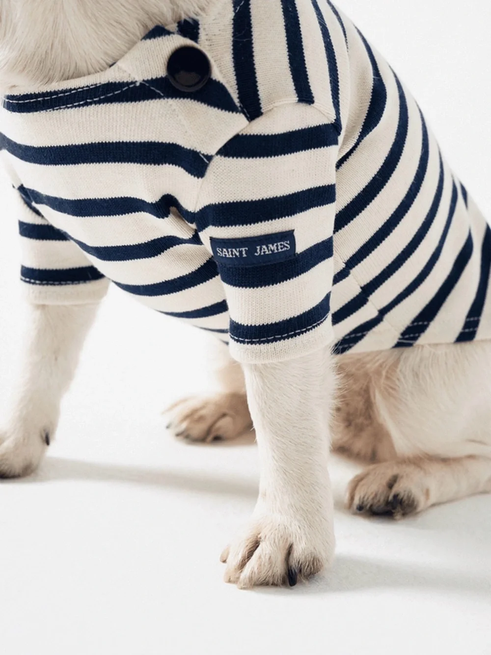 Saint James Navy and White Striped Dog Tee
